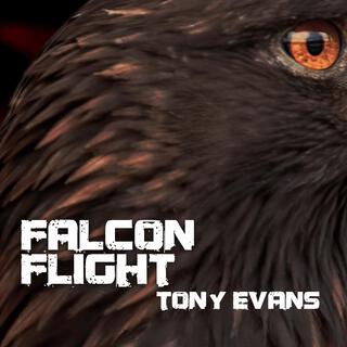 Falcon flight