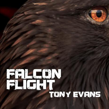 Falcon flight | Boomplay Music