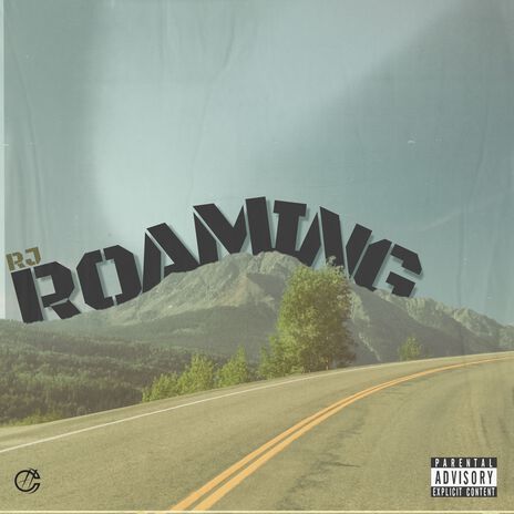 Roaming | Boomplay Music