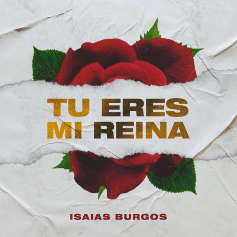 Tu Eres Mi Reina | Boomplay Music