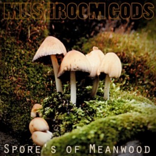 Live Spore's of Meanwood