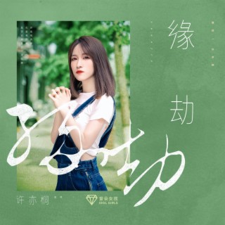 缘劫 ft. 许亦桐 lyrics | Boomplay Music