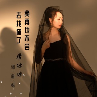 我再也不会去找你了（DJ阿杰版） lyrics | Boomplay Music