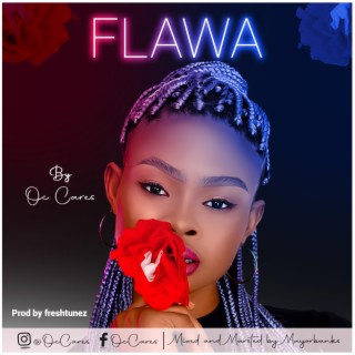 Flawa lyrics | Boomplay Music