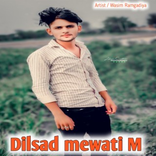 Dilsad Mewati M