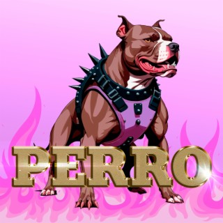 Perro lyrics | Boomplay Music