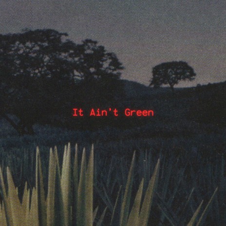 It Ain't Green | Boomplay Music