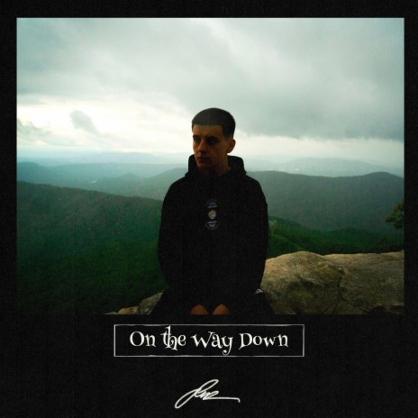 On the Way Down | Boomplay Music