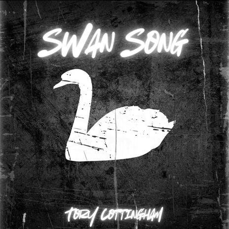 Swan Song | Boomplay Music