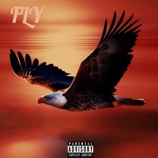 Fly lyrics | Boomplay Music