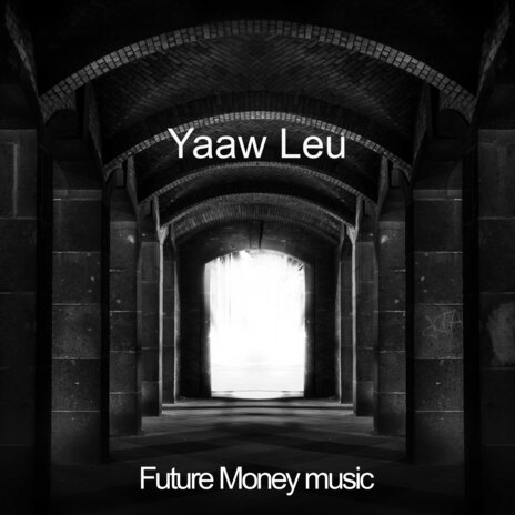 Yaaw Leu | Boomplay Music