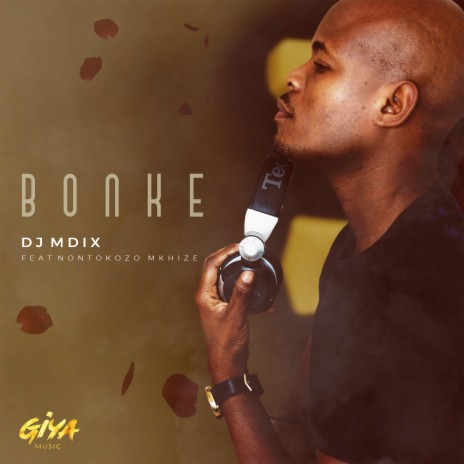 Bonke ft. Nontokozo Mkhize | Boomplay Music