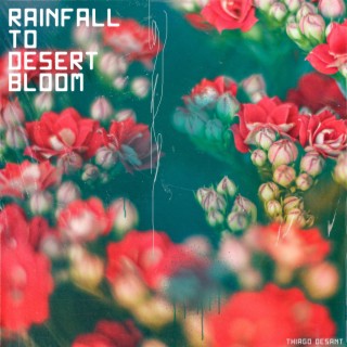 Rainfall to Desert Bloom