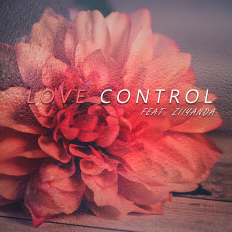 Love Control (Instrumental) ft. Ziiyanda | Boomplay Music