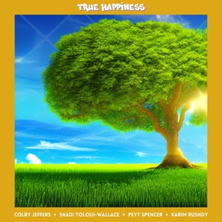 True Happiness ft. Shadi Toloui-Wallace, Peyt Spencer & Karim Rushdy lyrics | Boomplay Music