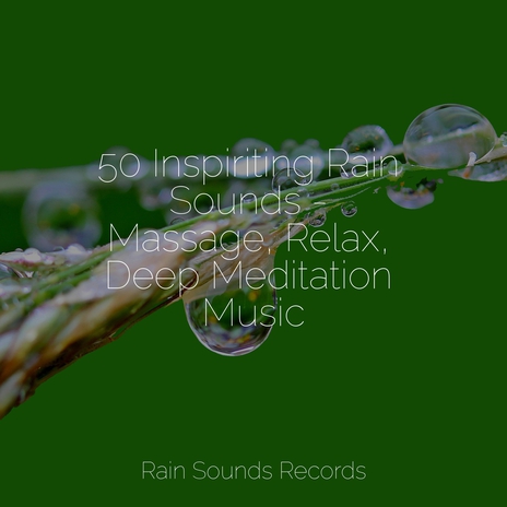 Whispering Canopy's Song ft. Rain for Deep Sleep & Sounds of Nature Relaxation | Boomplay Music