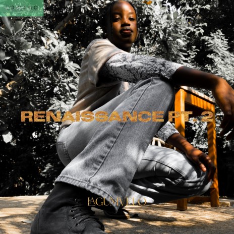 Renaissance (Analogue) | Boomplay Music