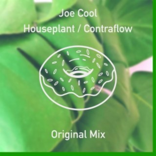 Houseplant / Contraflow