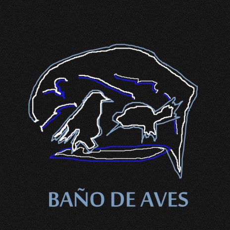 Baño de aves | Boomplay Music