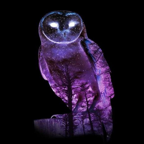 Night Owl | Boomplay Music