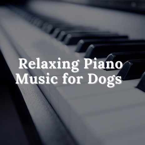Peaceful Dog Piano Music