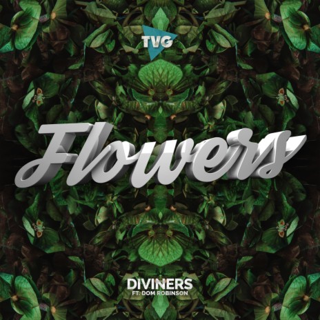 Flowers (feat. Dom Robinson) (Diviners - Flowers (ft. Dom Robinson)) | Boomplay Music
