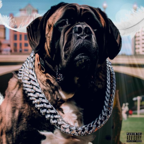 Big Dog Shit (Intro) ft. P Baby