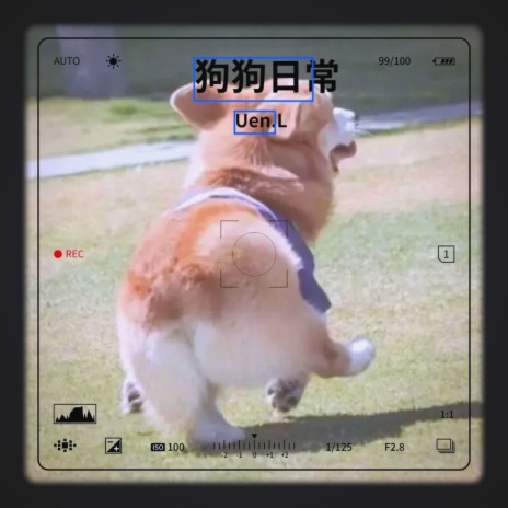 狗狗日常 | Boomplay Music