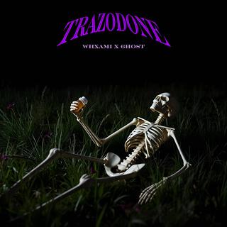 Trazodone ft. 6host lyrics | Boomplay Music