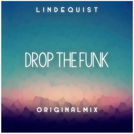 Drop The Funk