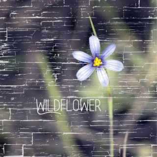 Wildflower