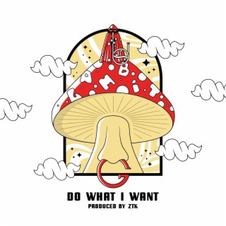 Do What I Want lyrics | Boomplay Music