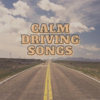 Calm Driving Songs