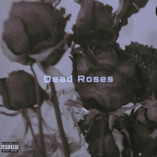 Dead Roses lyrics | Boomplay Music