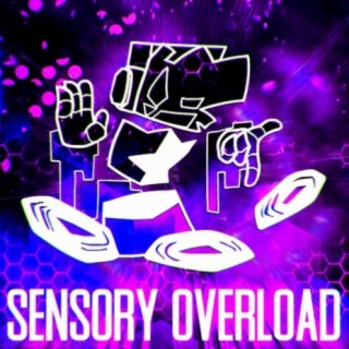 Sensory Overload