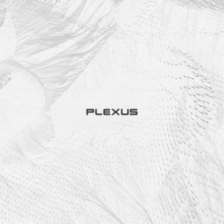 Plexus