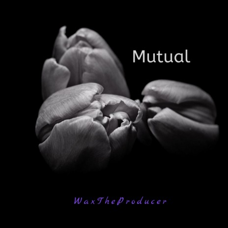 Mutual | Boomplay Music