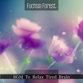 Bgm to Relax Tired Brain