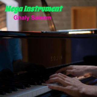 Mega Instrument