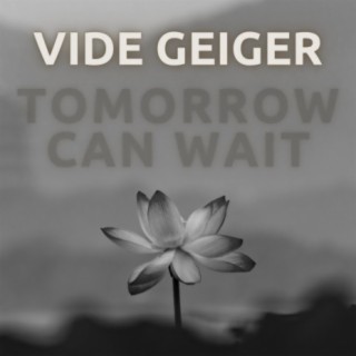 Vide Geiger