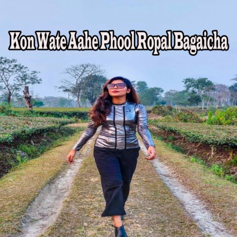 Kon Wate Aahe Phool Ropal Bagaicha | Boomplay Music