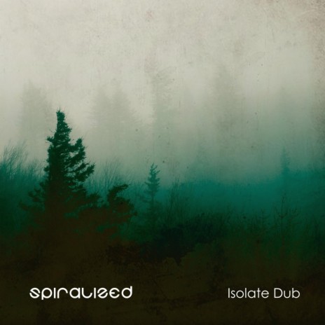 Isolate Dub | Boomplay Music