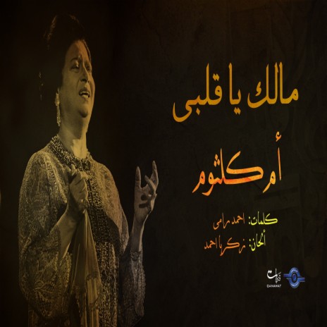 Malk Ya Alby | Boomplay Music