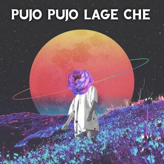 Pujo Pujo Lage Che