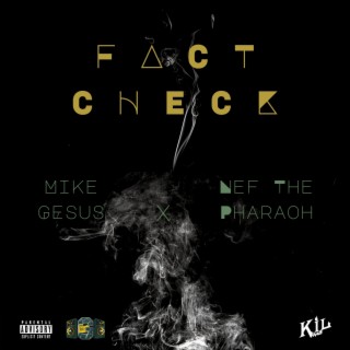 Fact Check ft. Nef The Pharaoh lyrics | Boomplay Music