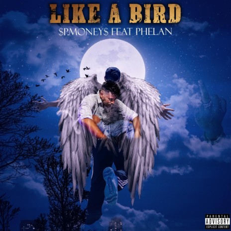 Like A Bird ft. Phelan | Boomplay Music