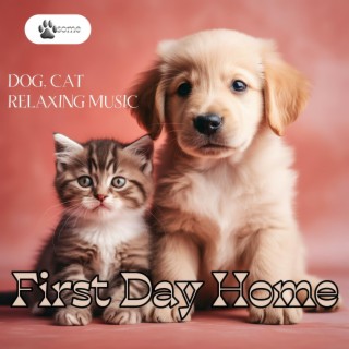 First Day Home: Dog, Cat Relaxing Music