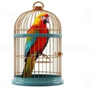 Birdcage