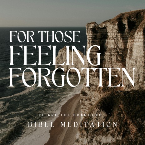 For those feeling forgotten (Bible Meditation) | Boomplay Music