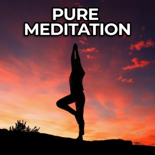 Pure Meditation And Miracle Tones